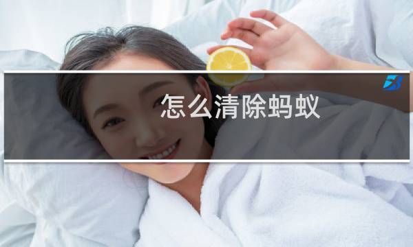 怎么清除蚂蚁 - 室内有蚂蚁去除最有效