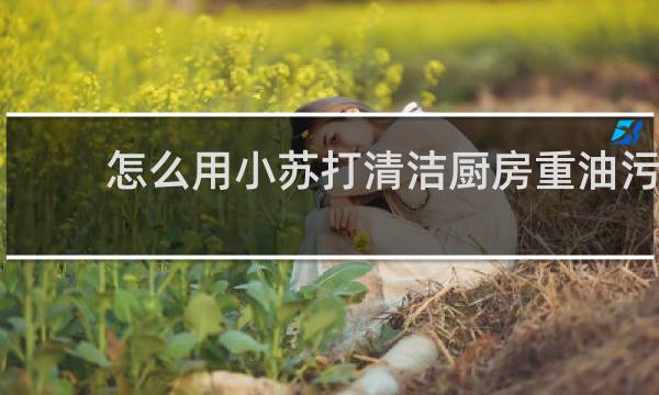怎么用小苏打清洁厨房重油污 - 食用小苏打去厨房重油污配方