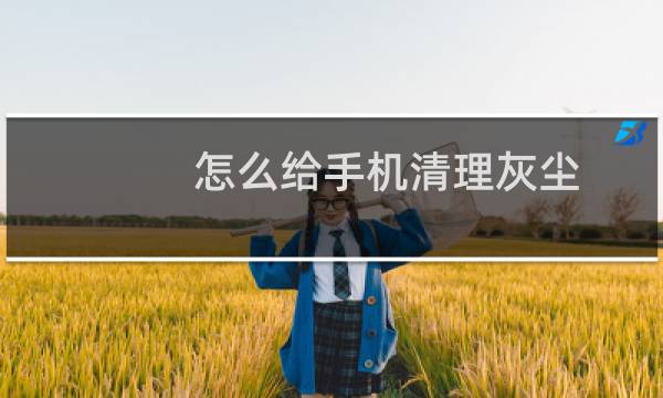 怎么给手机清理灰尘 - 手机内部怎么清理灰尘