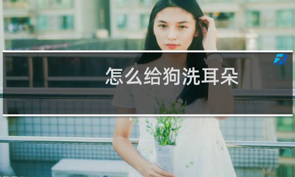 怎么给狗洗耳朵 - 狗狗洗耳朵用什么