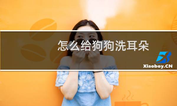 怎么给狗狗洗耳朵 - 狗狗洗耳朵用什么