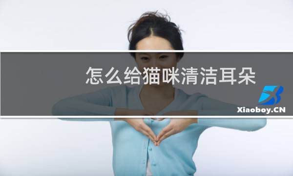 怎么给猫咪清洁耳朵 - 猫耳屎和耳螨区分图片