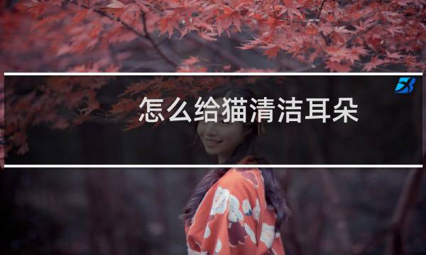 怎么给猫清洁耳朵 - 猫耳屎和耳螨区分图片