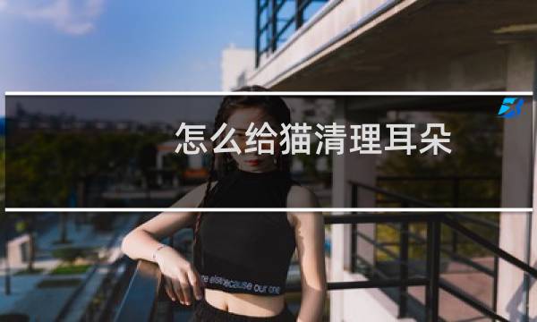 怎么给猫清理耳朵 - 猫耳屎和耳螨怎么区分