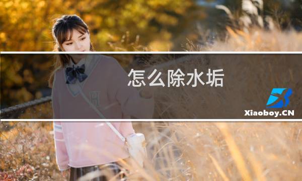 怎么除水垢 - 电热水壶除水垢