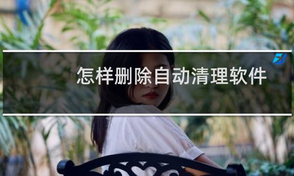 怎样删除自动清理软件 - 自动清理怎么删除