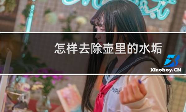 怎样去除壶里的水垢 - 去除壶底水垢的方法