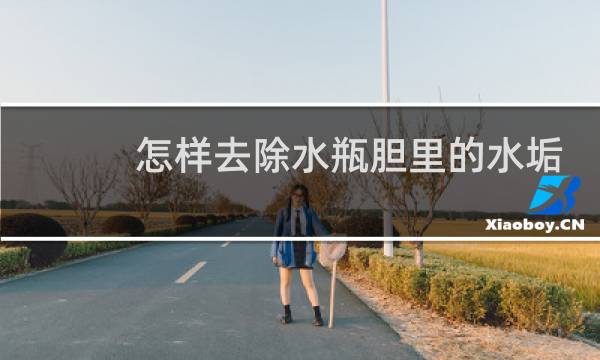 怎样去除水瓶胆里的水垢 - 水瓶里的水垢怎么清除