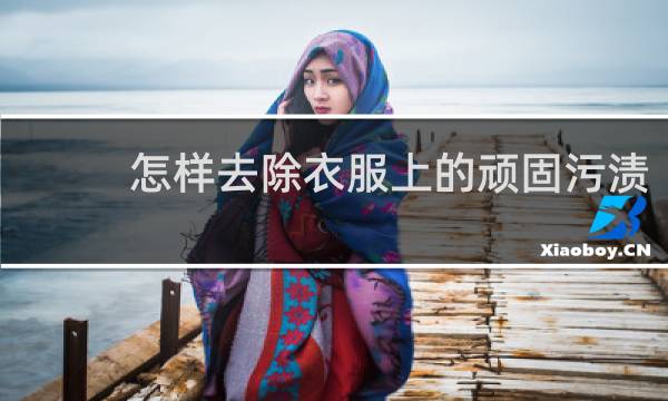 怎样去除衣服上的顽固污渍 - 衣服上的顽固污渍用什么能洗掉