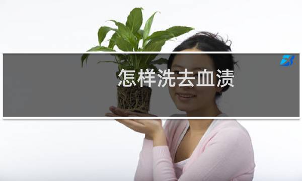 怎样洗去血渍 - 血渍怎么