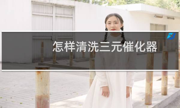 怎样清洗三元催化器 - 自己动手清洗三元催化器