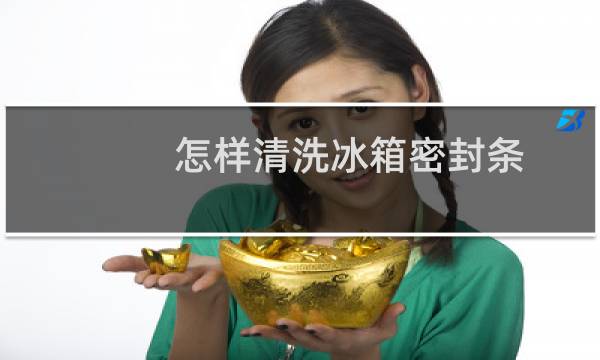 怎样清洗冰箱密封条 - 冰箱密封条清洗方法
