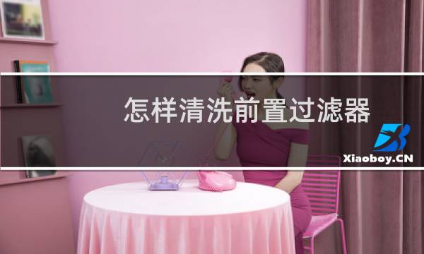怎样清洗前置过滤器 - 前置过滤器两年没清洗