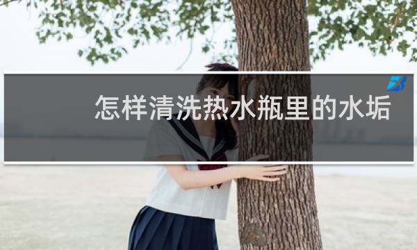 怎样清洗热水瓶里的水垢 - 怎么清洗热水壶里面的水垢?