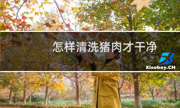 怎样清洗猪肉才干净 - 生猪肉清洗小窍门
