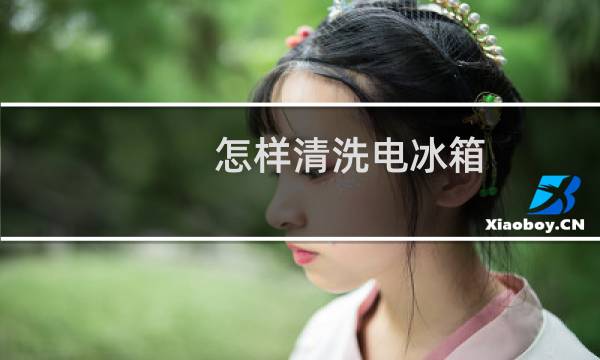怎样清洗电冰箱 - 清理电冰箱