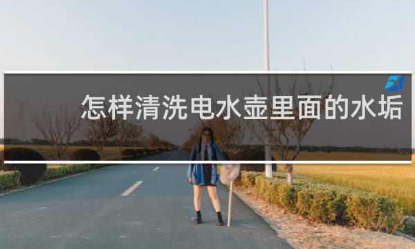 怎样清洗电水壶里面的水垢 - 电水壶水垢如何清洗