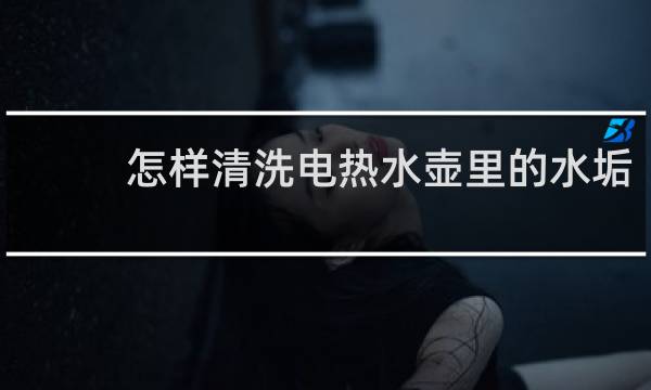 怎样清洗电热水壶里的水垢 - 怎么清洗热水壶里面的水垢?