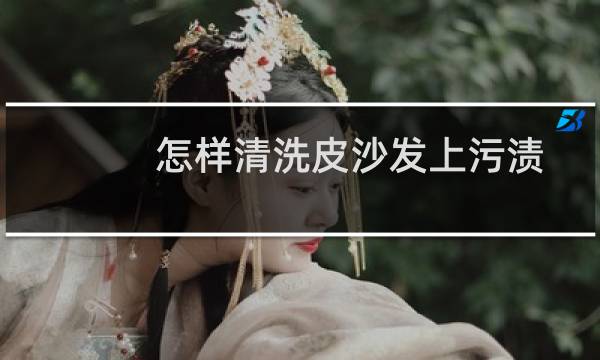 怎样清洗皮沙发上污渍 - 清洗皮沙发的6个小妙招