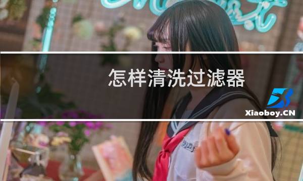怎样清洗过滤器 - 怎样清洗过滤器内芯