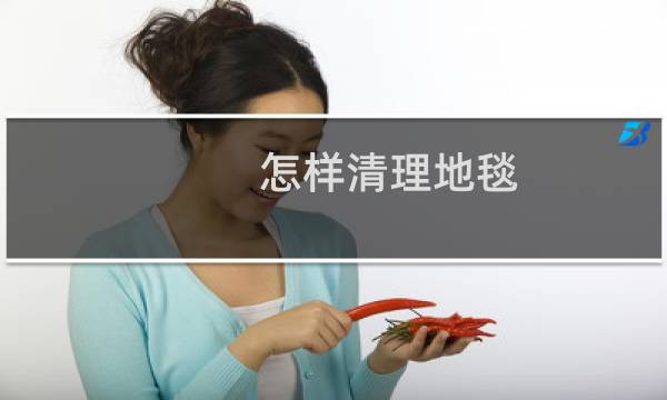 怎样清理地毯 - 自己清洗地毯