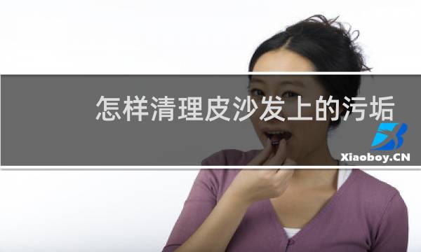 怎样清理皮沙发上的污垢 - 真皮沙发怎么去污