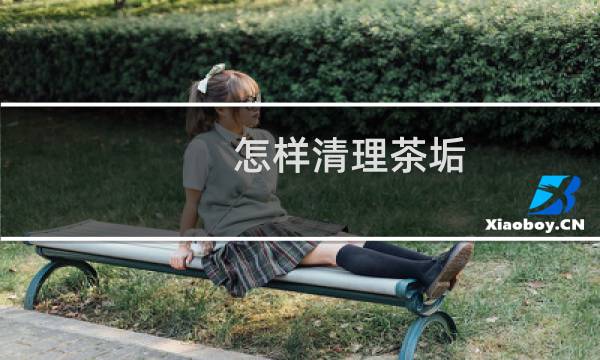 怎样清理茶垢 - 茶渍怎样清理
