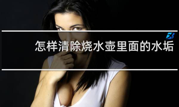 怎样清除烧水壶里面的水垢 - 怎么清洗热水壶里面的水垢?