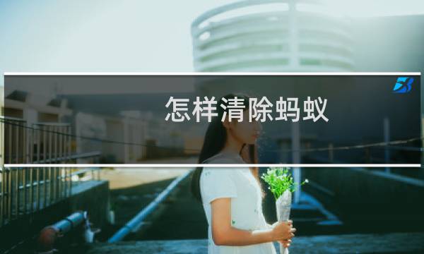 怎样清除蚂蚁 - 永久去除蚂蚁的小妙招