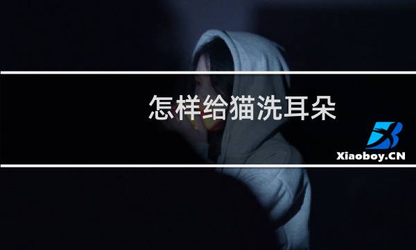 怎样给猫洗耳朵 - 洗耳朵后猫会恨你吗