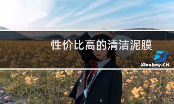 性价比高的清洁泥膜 - 好用的平价清洁面膜