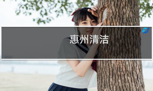 惠州清洁 - 惠州惠城区保洁