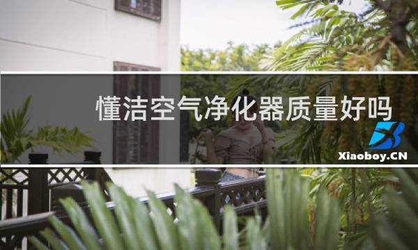 懂洁空气净化器质量好吗 - 懂洁负离子空气净化器价格