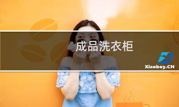 成品洗衣柜 - 小型洗衣柜