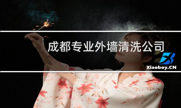 成都专业外墙清洗公司 - 成都蜘蛛人外墙维修