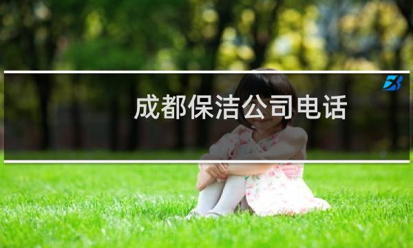 成都保洁公司电话 - 成都哪家保洁公司服务