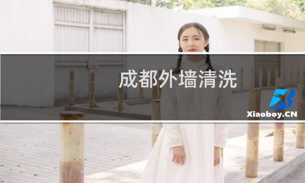 成都外墙清洗 - 成都蜘蛛人外墙维修