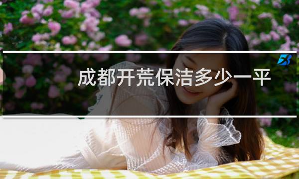 成都开荒保洁多少一平 - 100平做保洁多少钱