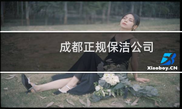 成都正规保洁公司 - 成都正规保洁家政首选公司