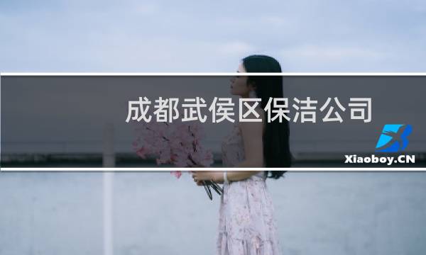 成都武侯区保洁公司 - 成都新都区保洁公司