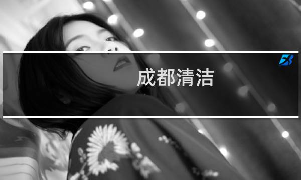 成都清洁 - 成都沙发清洗服务