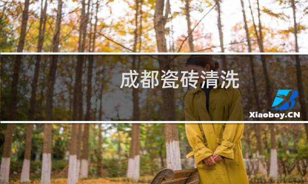 成都瓷砖清洗 -