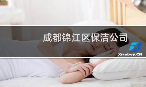 成都锦江区保洁公司 - 成都锦江区家政公司