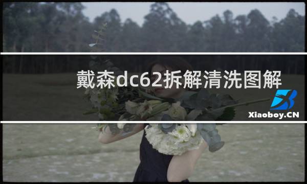 戴森dc62拆解清洗图解 - 戴森dc62后置过滤拆解