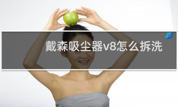 戴森吸尘器v8怎么拆洗 - 戴森v8怎么装回去