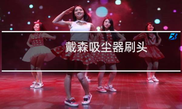 戴森吸尘器刷头 - 戴森吸尘器刷头震动