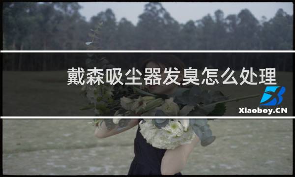 戴森吸尘器发臭怎么处理 - 戴森吸尘器出风很臭怎么解决
