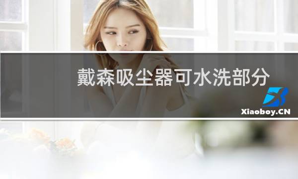 戴森吸尘器可水洗部分 - 戴森吸尘器头可以水洗吗