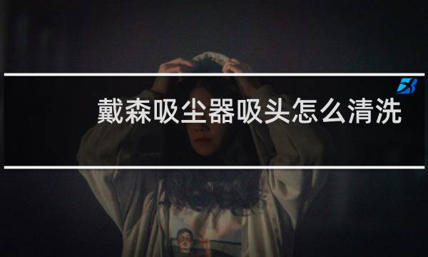 戴森吸尘器吸头怎么清洗 - 戴森吸头不小心水洗了