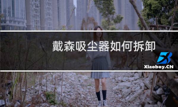 戴森吸尘器如何拆卸 - 戴森吸尘器v15怎么拆洗